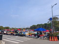 -雪绒花路停车场