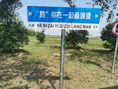 -盐城丹顶鹤湿地生态旅游区
