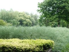 -东方绿舟景区