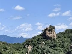 -大岭沟猕猴桃谷风景区