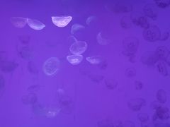 -沈阳海洋探索中心