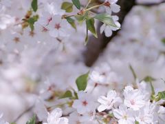 -龙美术馆(西岸馆)
