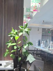-十月日记高端孕妈妈摄影(黄金大厦店)