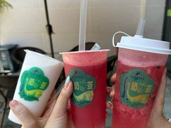 -森波拉奇妙世界