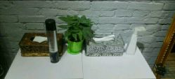-Grace studio