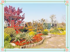 -上海长兴岛郊野公园