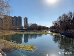 -东坝千亩湖公园