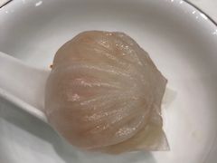 -鹅城