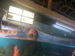 -苏州海洋馆
