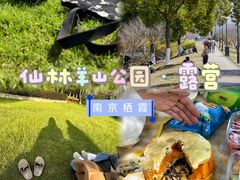 -羊山湖公园