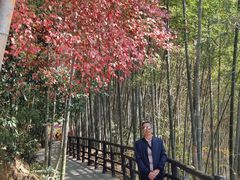 -南武当山景区