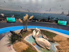 -大连市规划展示中心
