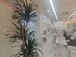 -babiline芭比莱恩半永久纹眉纹唇发际线
