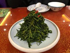 清香枸杞苗-国强手抓(北京西路店)