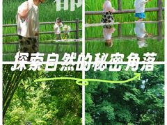 -成都市活水公园
