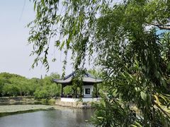 -无锡蠡湖国家湿地公园-蠡园