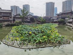 -龙潭水乡