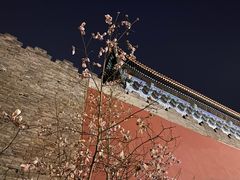 -东华门大街小区