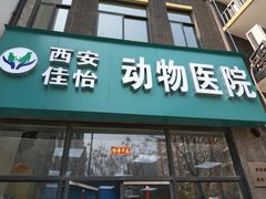 -佳怡动物医院·平价24小时·猫专科骨外科