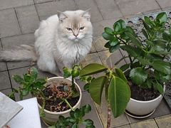 -沐泷泉(南风大剧院店)