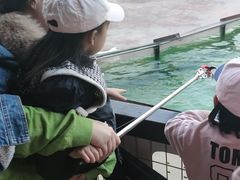 -灵玲国际马戏城
