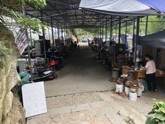 -将军关探险漂流