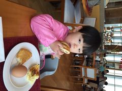 希尔顿视界美食自助餐厅-视界美食自助餐厅·石家庄希尔顿酒店