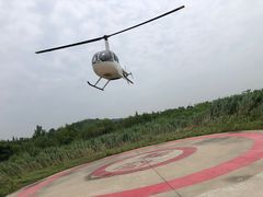 -上海月湖雕塑公园