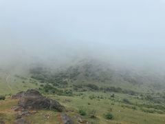 -大姆山草场