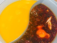 -青瓷火锅料理(西单大悦城店)