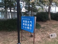 -月湖风景区