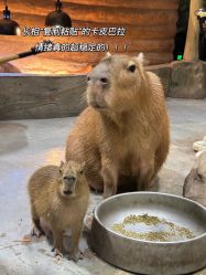 -Zoolung Zoolung动物主题公园(海信广场店)