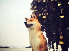 -龙口南山旅游景区