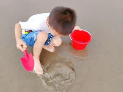 -奉贤海滩