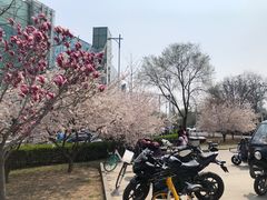 -家乐福(四元桥购物中心店)