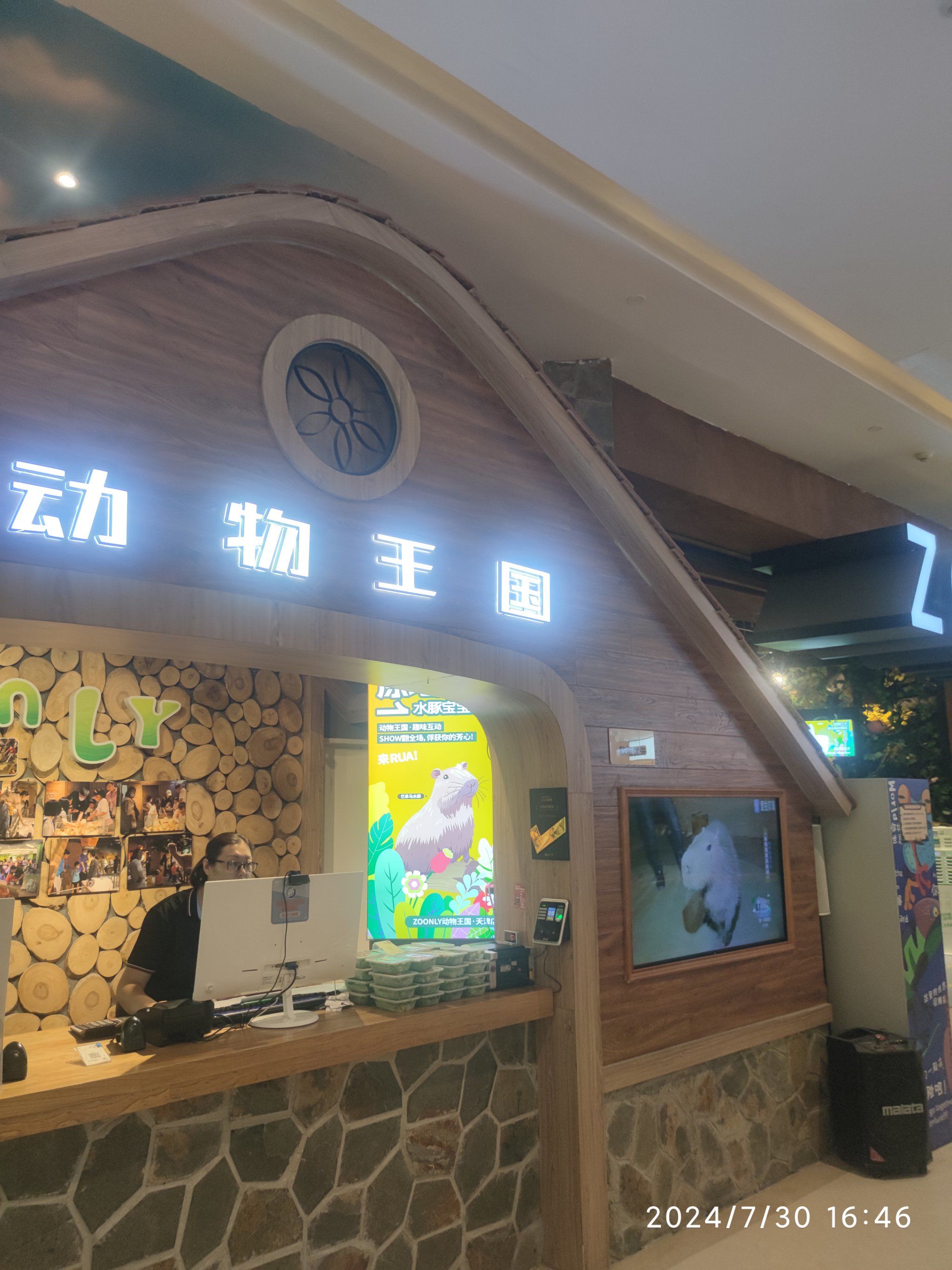 天河城动物王国和小动物近距离接触,孩子玩的很开心