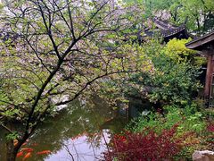 -乾园.魏庐湖景餐厅(花港店)