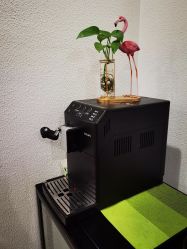 点击看大图 -薇薇安花系SPA