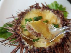 生拌海参-老虎滩船说·海胆水饺·大连海鲜(老虎滩店)