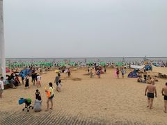 -碧海金沙
