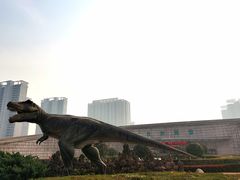 -陕西自然博物馆