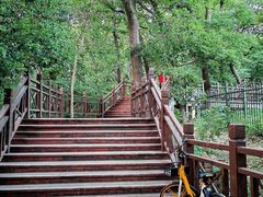 -紫金山山顶公园