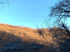 -吉林市朱雀山国家森林公园