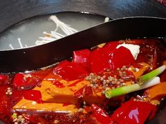 -阳阳老火锅(小南门店)