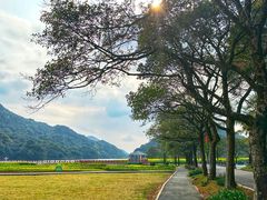 -广州市石门国家森林公园