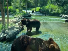 -北京野生动物园