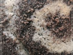 -好利来(宣武门店)