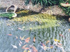 -碧桂园十里银滩