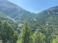 -佛慧山