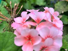 -阳光山水江湖菜馆(西山龙门店)
